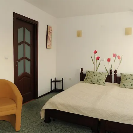 Guest house De Inchiriat Casa Cu Flori 3*