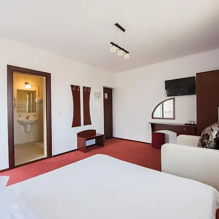 De Inchiriat Casa Cu Flori Guest house Sacele