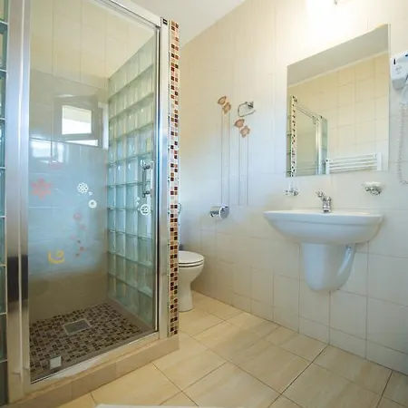 De Inchiriat Casa Cu Flori Guest house 3*