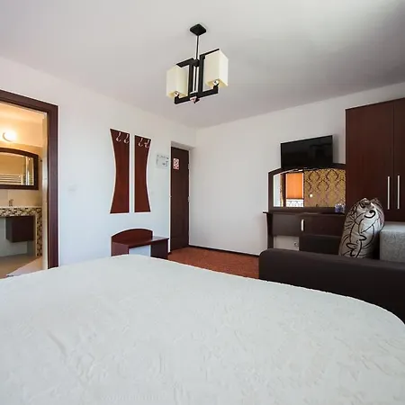 Guest house De Inchiriat Casa Cu Flori Sacele