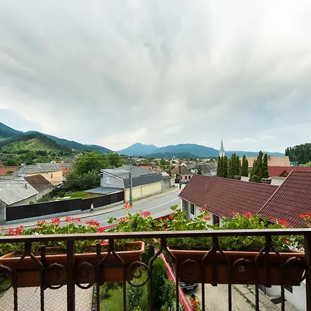 De Inchiriat Casa Cu Flori Guest house 3*
