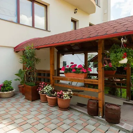 Guest house De Inchiriat Casa Cu Flori Sacele
