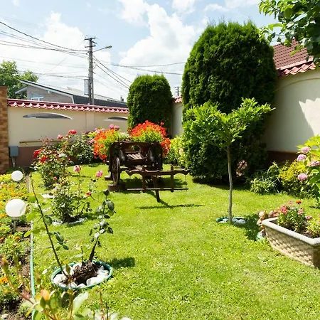 De Inchiriat Casa Cu Flori Guest house Sacele