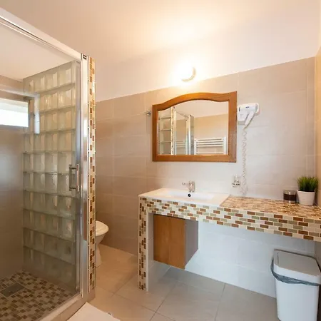 Guest house De Inchiriat Casa Cu Flori Sacele