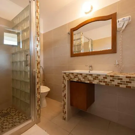 Guest house De Inchiriat Casa Cu Flori Sacele