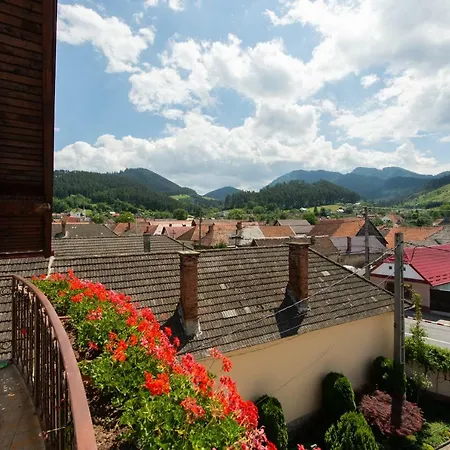 De Inchiriat Casa Cu Flori