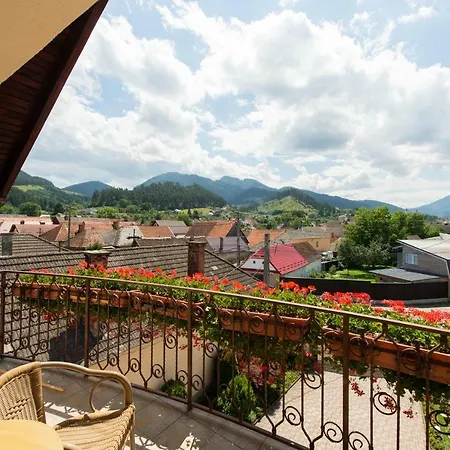 Guest house De Inchiriat Casa Cu Flori Sacele