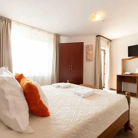 De Inchiriat Casa Cu Flori Guest house